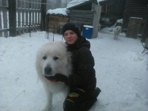 Photo №4. Je vais vendre chien de montagne des pyrénées en ville de Krasnoyarsk. annonce privée - prix - Négocié
