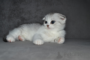 Photo №1. highland-straights - à vendre en ville de Vilnius | 638€ | Annonce № 33395