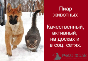Photo №1. Hôtel pour les animaux en ville de Moskova. Price - 4€. Annonce № 152333