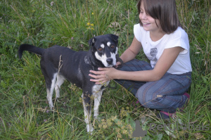 Photo №1. chien bâtard - à vendre en ville de Краснокамск | Gratuit | Annonce №8317