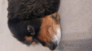 Photo №3. Lyudmila Boulyjkina. Allemagne