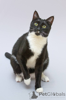 Photo №1.  - à vendre en ville de Khimki | Gratuit | Annonce № 161902