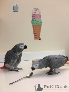 Photo №1.  - à vendre en ville de Prague | négocié | Annonce № 162931