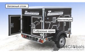 Photo №2. Services de livraison et de transportation des chats et des chiens en Biélorussie. Price - 9€. Annonce № 32961