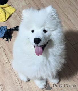 Photo №1.  - à vendre en ville de Baden | négocié | Annonce №137491