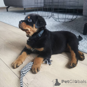 Photo №1.  - à vendre en ville de Larnaca | 300€ | Annonce №143876