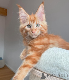 Photo №3. Disponible. USA