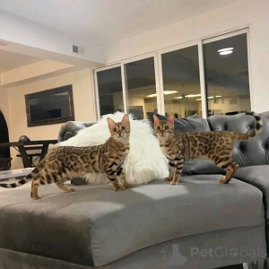 Photo №1.  - à vendre en ville de Espoo | 1000€ | Annonce № 161554