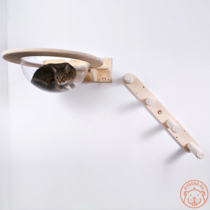 Photo №4. Complexe de jeu mural pour chats Yurikato en Fédération de Russie. Annonce № 5274