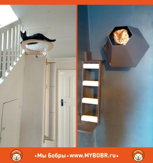 Photo №2. Meubles pour chiens et chats en Fédération de Russie. Prix - 27€. Annonce № 5282