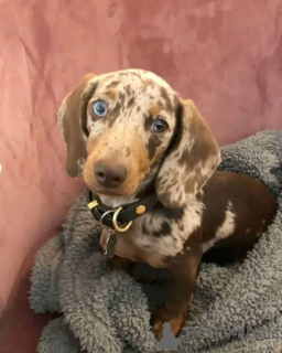 Photo №4. Je vais vendre  en ville de Madrid.  - prix - négocié