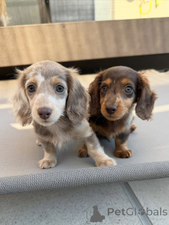 Photo №1.  - à vendre en ville de Helsinki | 500€ | Annonce №164020