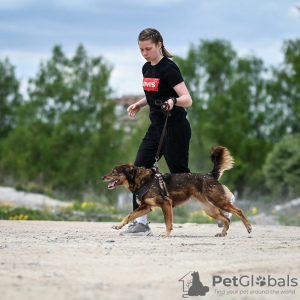 Photos supplémentaires: Petite Shanti super positive cherche un foyer !