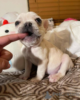 Photo №1.  - à vendre en ville de Texas | négocié | Annonce №161254