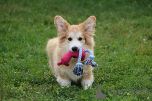 Photo №3. Natalia. Biélorussie