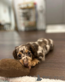 Photo №2 de l'annonce № 150843 de la vente  - acheter à Allemagne annonce privée