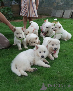 Photo №1.  - à vendre en ville de Munich-flughafen | négocié | Annonce №158041