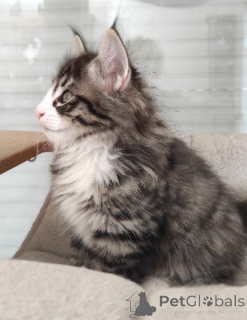 Photo №1.  - à vendre en ville de Helsinki-uusimaa | Gratuit | Annonce № 165774