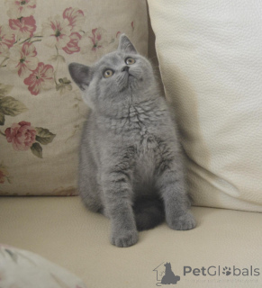 Photo №3. Roxana Mihalcea. La Roumanie