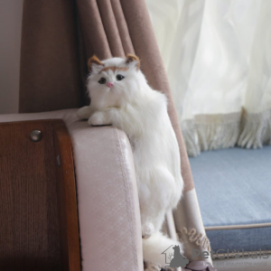 Photo №2 de l'annonce № 129159 de la vente bobtail américain à longs poils - acheter à Barbade annonce privée