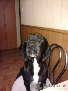 Photo №2 de l'annonce № 152369 de la vente  - acheter à Allemagne annonce privée