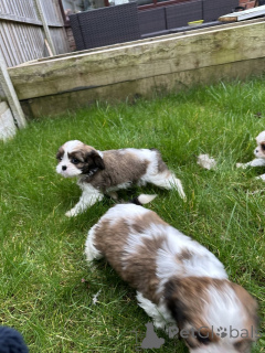 Photo №1.  - à vendre en ville de Bernkastel-kues | négocié | Annonce №166370