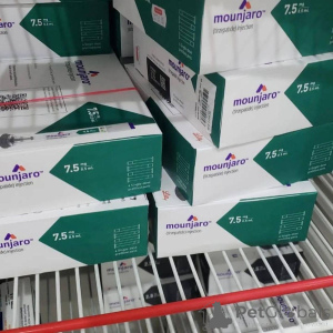 Photo №1. american curl - à vendre en ville de Augsbourg | Gratuit | Annonce № 156651