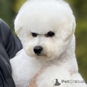 Photo №1.  - à vendre en ville de Kaunas | 1500€ | Annonce №159516