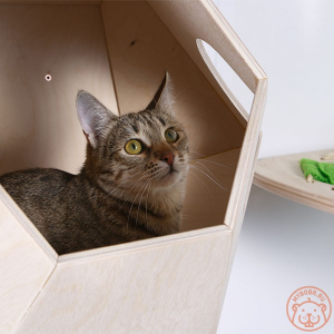 Photo №3. Complexe de murs 