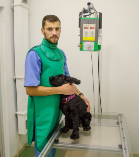 Photo №1. Services vétérinaires en ville de Minsk. Price - Négocié. Annonce № 1165