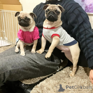 Photo №1.  - à vendre en ville de Berlin | 650€ | Annonce №140568