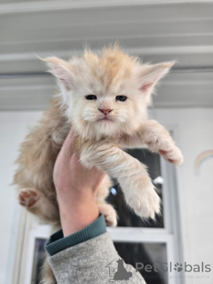 Photo №1.  - à vendre en ville de Aalen | négocié | Annonce № 156476