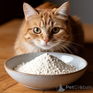 Photo №3. Cornes de cerf du nord. Fédération de Russie