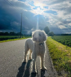 Photo №1.  - à vendre en ville de Berlin | négocié | Annonce №166538