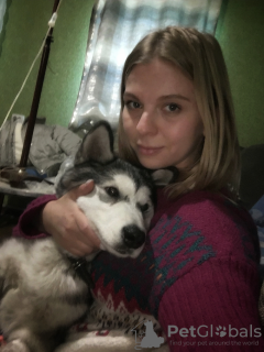 Photo №3. Vétérinaire à domicile à Kharkov en Ukraine