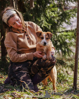 Photo №3. Chère Diva, chiot domestique à la recherche d'un foyer. Fédération de Russie