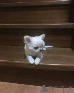 Photo №1.  - à vendre en ville de Dronninglund | négocié | Annonce №168236