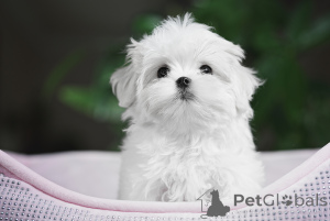 Photo №3. Natalia Martsinyak. Ukraine