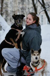 Photo №3. Viva ne se souvient d'aucun mal . Fédération de Russie