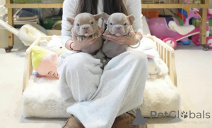 Photo №1.  - à vendre en ville de Bremen | 7800€ | Annonce №144359