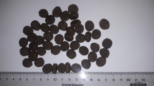 Photo №3. Mamynat Energy. Pour les chiens adultes. Italie 20 kg. Fédération de Russie