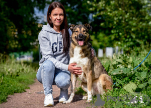 Photos supplémentaires: Bim, un jeune chien joyeux, cherche un foyer.