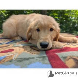 Photo №3. Ambiance positive uniquement. Australie