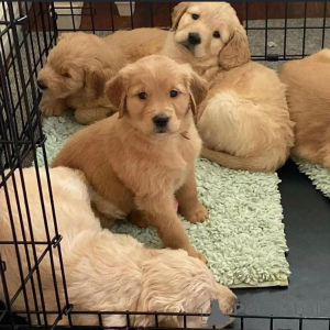 Photo №1.  - à vendre en ville de BARSENA DE SISERO | négocié | Annonce №160317