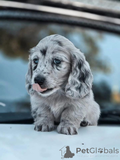 Photo №1.  - à vendre en ville de Darwin | 678€ | Annonce №163516