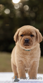 Photo №1.  - à vendre en ville de Manchester | négocié | Annonce №160258