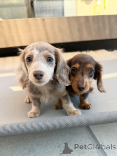 Photo №2 de l'annonce № 164020 de la vente  - acheter à La finlande annonce privée, de l'abri