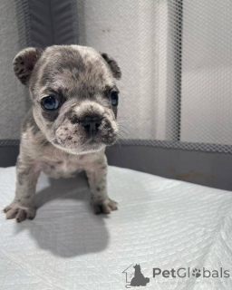 Photo №4. Je vais vendre  en ville de Texas.  - prix - négocié