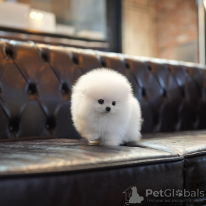 Photo №2 de l'annonce № 131043 de la vente  - acheter à Allemagne annonce privée