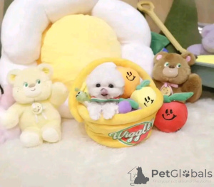 Photo №4. Je vais vendre  en ville de Calgary.  - prix - négocié